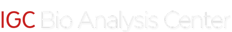 관련사이트